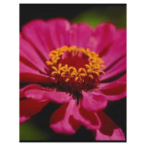 Pink Flower Power letterhead by SacredExpressions Pink Flower Power letterhead