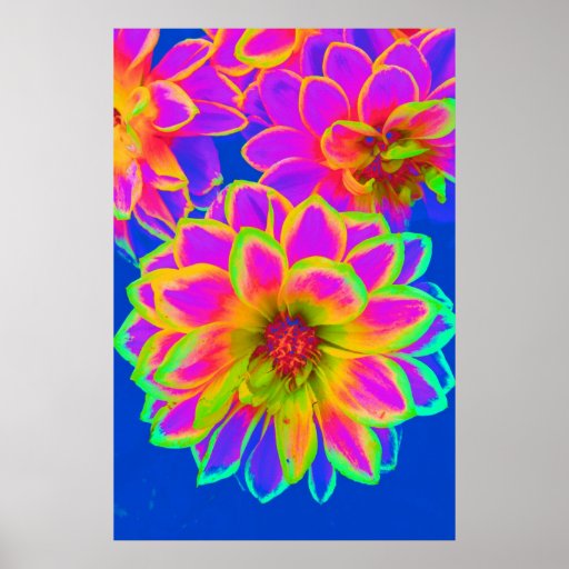 Pink Flower Power Print