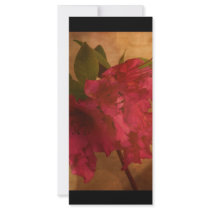 Pink Flower rack cards by dianad11 Pink Flower rack cards