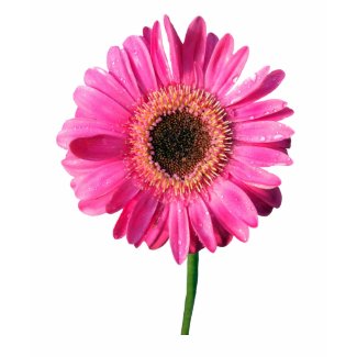 Pink Flower Shirt