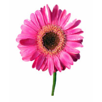 Pink Flower Shirt