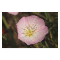 Pink Flower Stationery