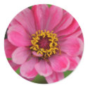 pink flower sticker sticker