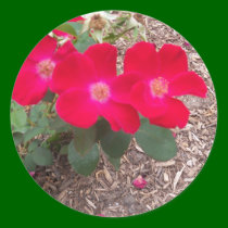 pink flower stickers
