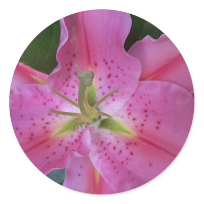 Pink Flower stickers