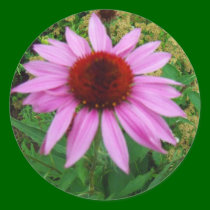 pink flower stickers