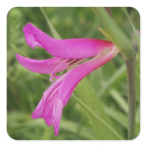 Pink Flower Stickers stickers