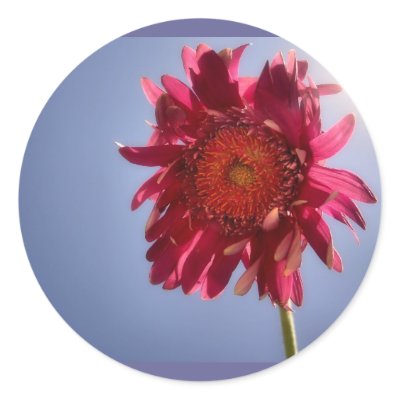 Pink Flower Stickers by janoka