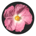 Pink Flower Stickers
