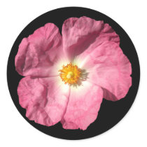 Pink Flower Stickers by wingedturtle Pink Flower Stickers