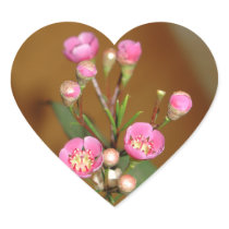 Pink Flower Stickers