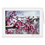 Pink Flower Tree Greeting Card