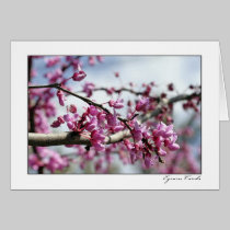 Pink Flower Tree cards