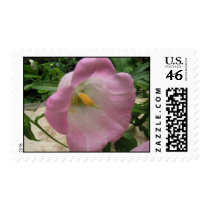 Pink Flower US Postage Stamp