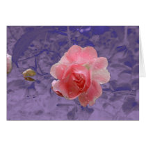 Pink Flower w/Neon background cards