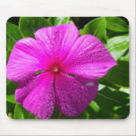 Pink Flower with Raindrops mousepads