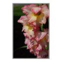 pink flower with yellow center posters