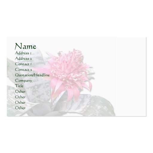 Pink Flowered Bromeliad Business Cards (front side)