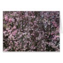 Pink Flowering CrabApple cards by Kat_Su Pink Flowering CrabApple cards