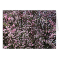Pink Flowering CrabApple cards