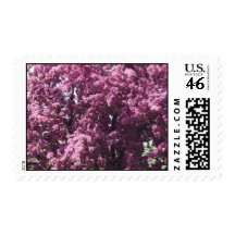 Pink Flowering Tree Postage
