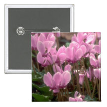 Pink Flowers