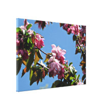 Pink flowers against blue sky stretched canvas print
