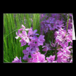Pink Flowers and Grass Card