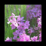 Pink Flowers and Grass Magnet
