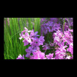 Pink Flowers and Grass Print