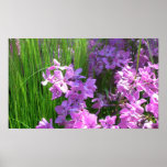 Pink Flowers and Grass Print