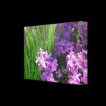 Pink Flowers and Grass Wrapped Canvas
