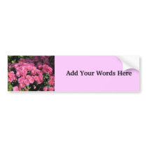 Pink Flowers bumper stickers