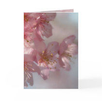 Pink Flowers Card