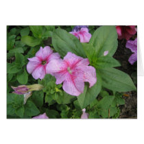 Pink Flowers Card by tkrysak Pink Flowers Card