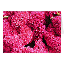 Pink Flowers cards