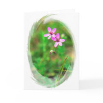 Pink Flowers cards