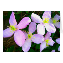 Pink flowers - Card cards