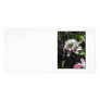 Pink flowers. Clematis. Stylish design. Picture Card