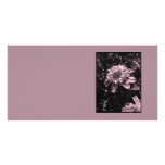 Pink flowers. Clematis. Stylish design. Photo Card