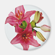 Pink flowers  flowers fridge magnet