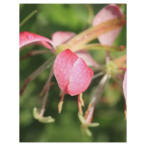 Pink Flowers Flyer