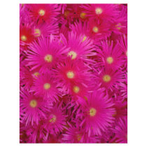 Pink flowers flyers