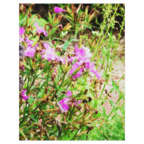 Pink Flowers flyers by Catwing Pink Flowers flyers