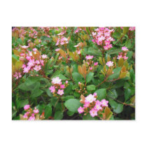 pink flowers & green leaves postcard by DonnaGrayson pink flowers & green leaves postcard