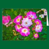 Pink flowers greeting card