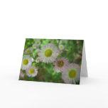Pink Flowers - Happy Birthday Greeting Card