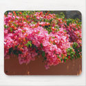 Pink Flowers in the Sun - mousepad by DonnaGrayson Pink Flowers in the Sun - mousepad