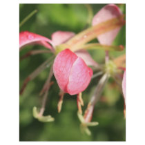Pink Flowers letterhead by Jrtmedia Pink Flowers letterhead