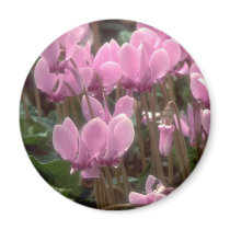 Pink Flowers magnets